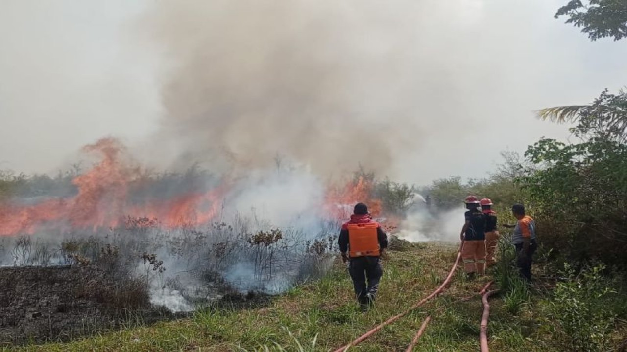 Tim gabungan berupaya memadamkan titik api di wilayah desa Pasir Putih, Kabupaten Poso, Kamis (28/9/2023). (ANTARA/HO-BPBD Sulteng)