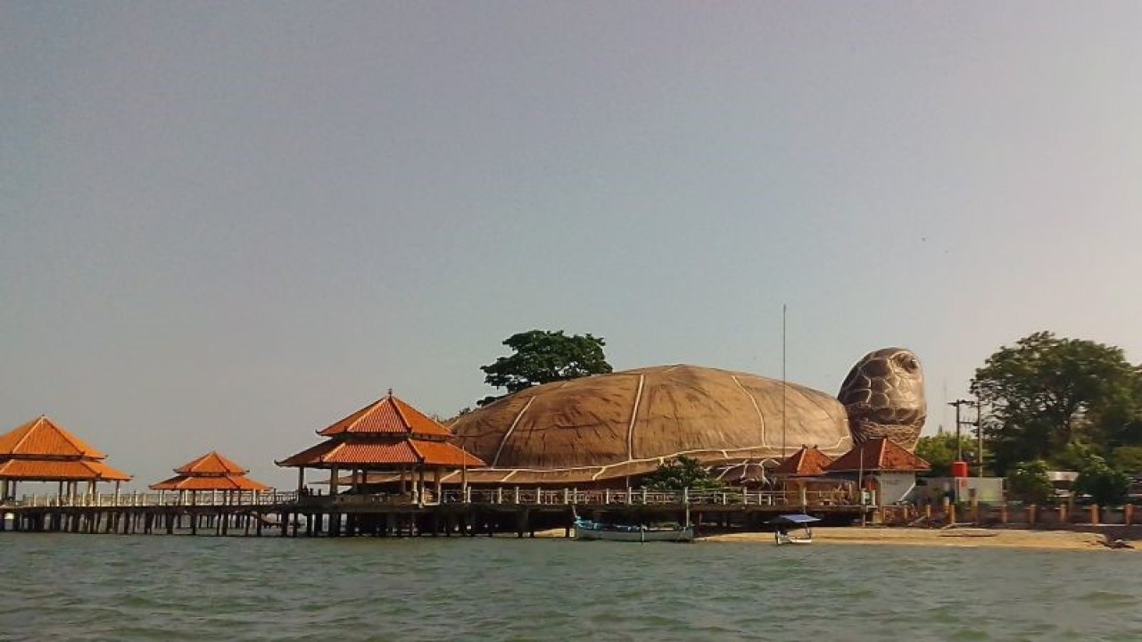 Kura-kura di Pantai Kartini Kabupaten Jepara, Jawa Tengah, sebagai salah satu ikon Kota Jepara, Jawa Tengah. (FOTO ANTARA/Akhmad Nazaruddin Lathif)