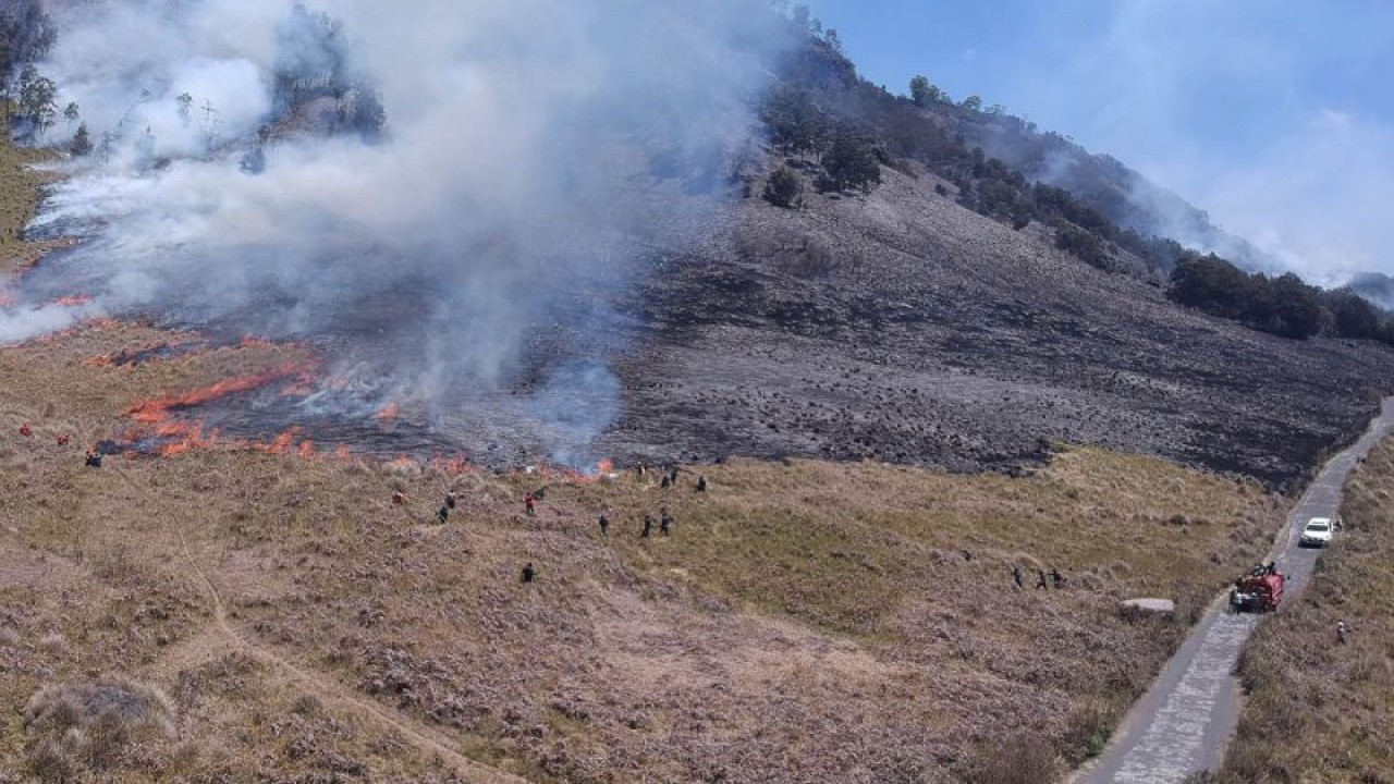 Personel gabungan Balai Besar Taman Nasional Bromo Tengger Semeru (BB TNBTS) pada saat melakukan proses pemadaman api di area savana, di wilayah Kabupaten Malang, Jawa Timur, Rabu (30/8/2023). ANTARA/HO-BB TNBTS.