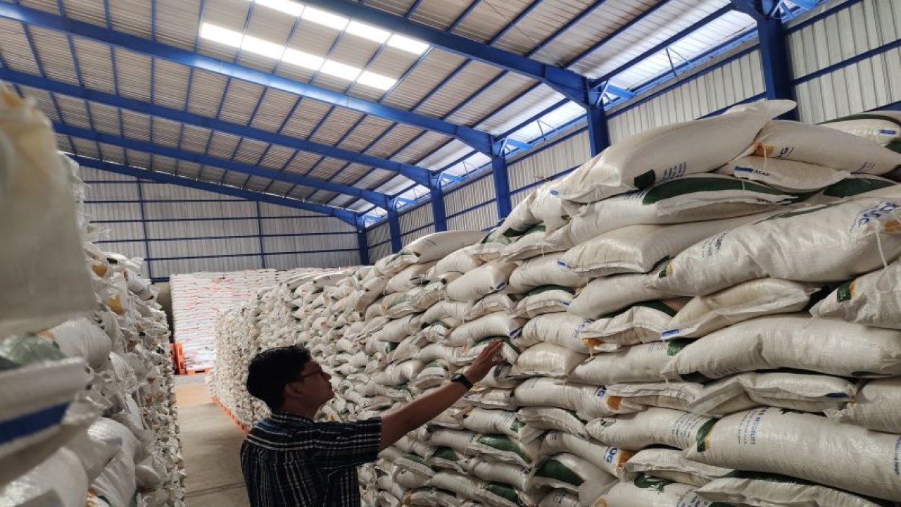 Ilustrasi- Stok beras yang ada di gudang Bulog Lampung pada musim kemarau 2023. ANTARA/Ruth Intan Sozometa Kanafi.