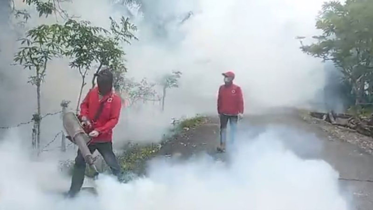 Petugas kesehatan melakukan pengasapan antisipasi DBD di Kabupaten Aceh Barat Daya, Senin (18/9/2023). (ANTARA/Suprian)