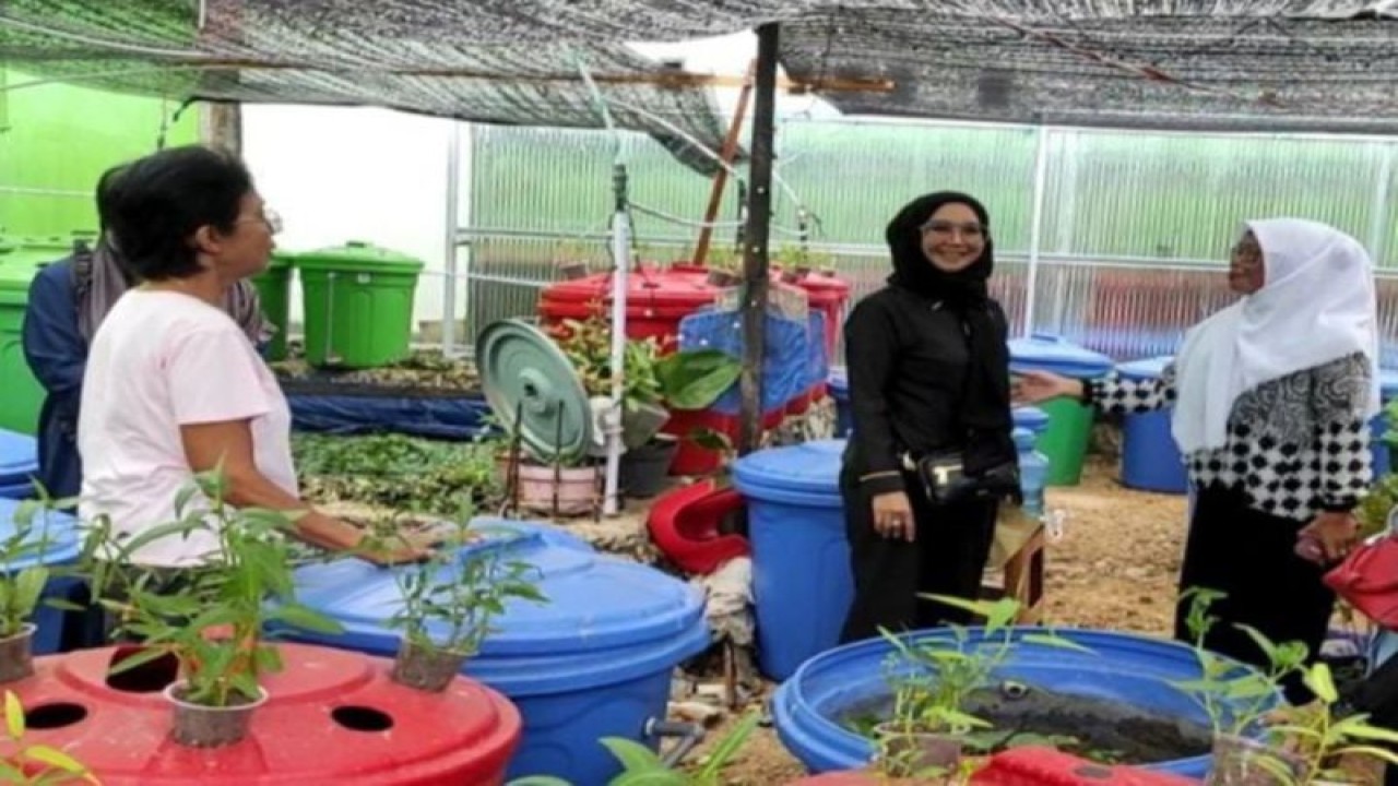 Anggota DPRD Banjarbaru Liana (hijab hitam) menyambangi anggota Pokmas pembudidaya ikan Mina Barokah yang dibangunkan sumur bor untuk membantu ketersediaan air bagi usaha bidang perikanan itu beberapa waktu lalu. ANTARA/HO-Humas DPRD Banjarbaru