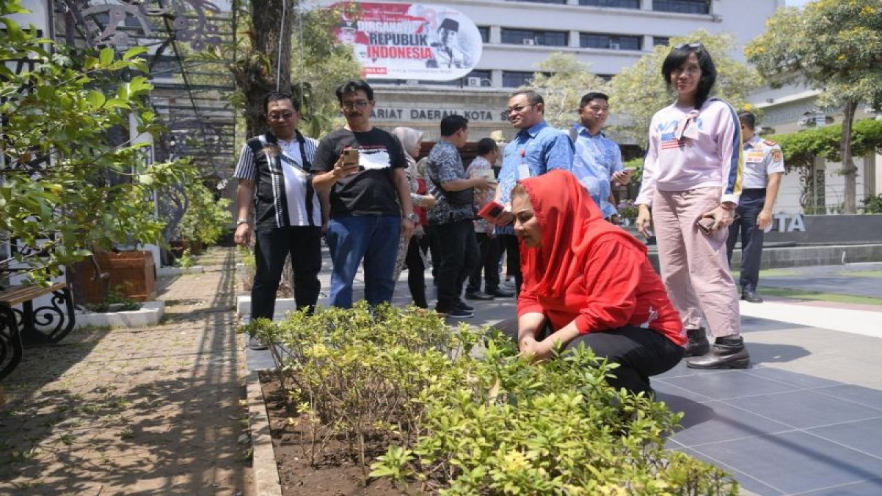 Wali Kota Semarang Hevearita Gunaryanti Rahayu bersama jajaran organisasi perangkat daerah (OPD) saat mengecek penghijauan di kawasan Balai Kota Semarang, Jumat (8/9/2023). (ANTARA/HO-Pemkot Semarang)