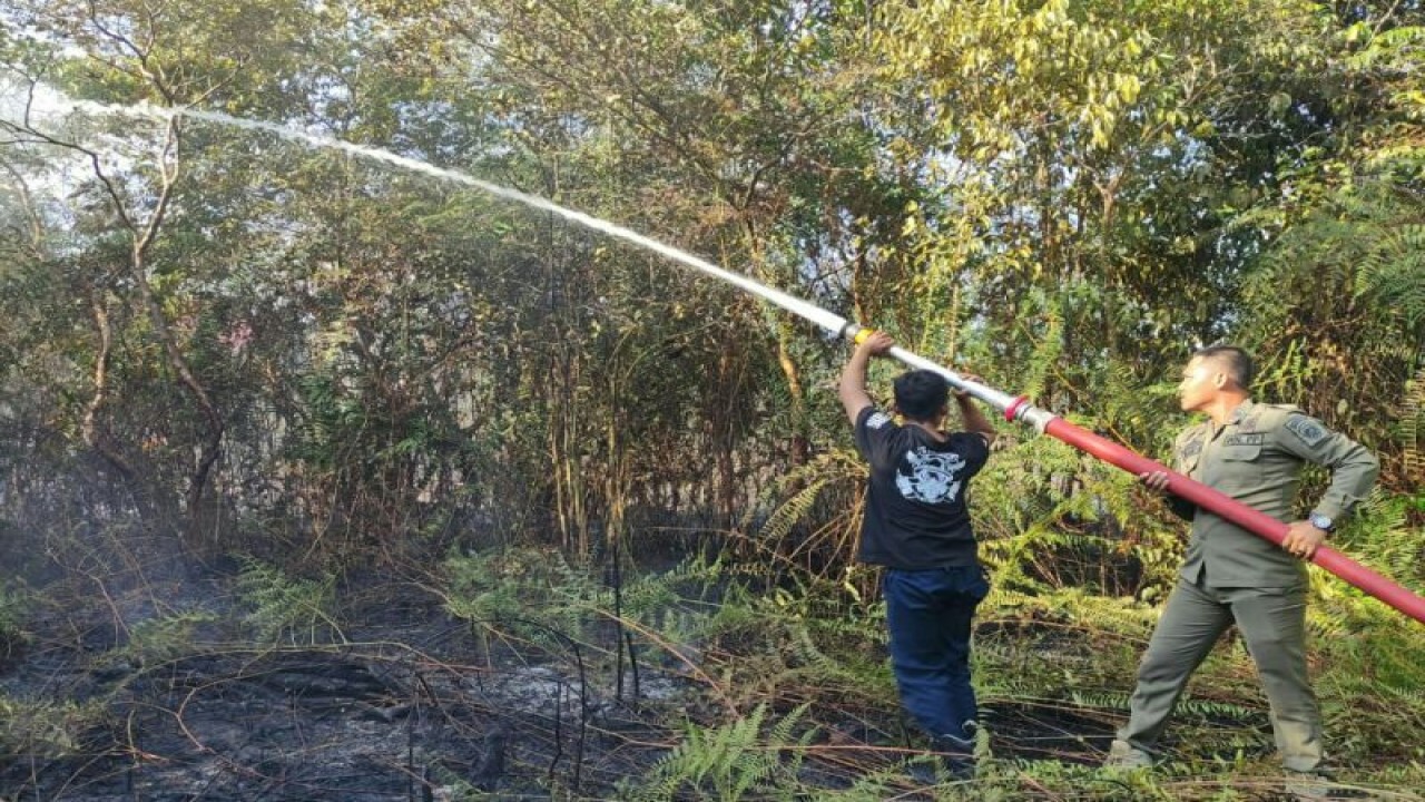 Ilustrasi - petugas memadamkan api saat terjadi karhutla di Kabupaten Penajam Paser Utara (FOTO ANTARA / HO Pusdalops Kabupaten PPU)