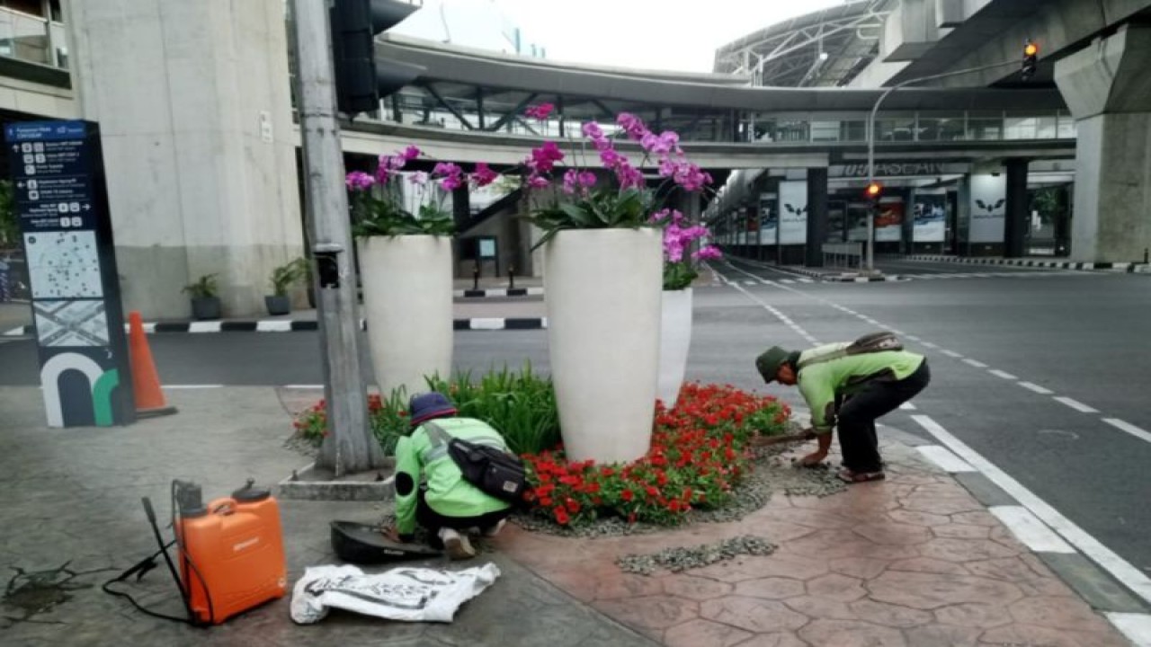 Pemerintah Kota Administrasi Jakarta Selatan mempercantik sejumlah jalan menjelang Konferensi Tingkat Tinggi (KTT) Ke-43 ASEAN, Jakarta, Senin (4/9/2023). ANTARA/HO-Kominfotik Jakarta Selatan