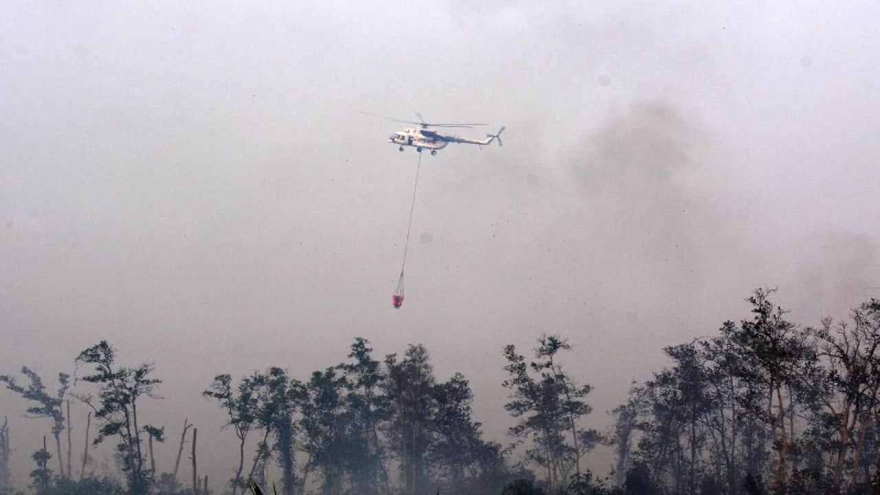 Helikopter 9N-AHT milik BNPB melakukan pemadaman dari udara di lahan gambut yang terbakar, Betung, Muarojambi, Jambi, Kamis (3/10/2019). ANTARA FOTO/Wahdi Septiawan/aww