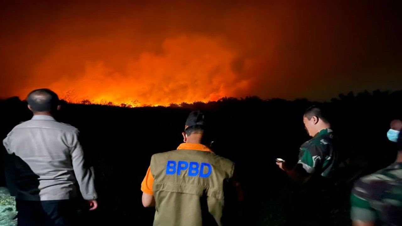 Proses pemadaman lahan dan hutan Jambi.(ANTARA/Ho/Pik)
