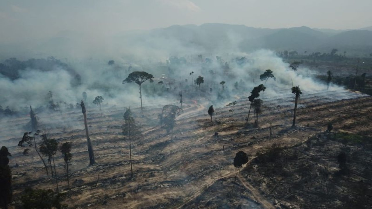 Kondisi penanganan karhutla di Kabupaten Tebo, Jambi, Kamis, (21/9/2023). (ANTARA/HO-BNPB)