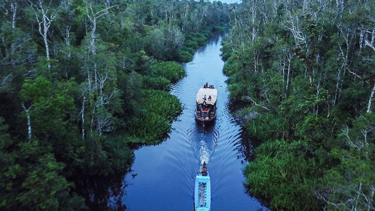 Ilustrasi - Foto udara kawasan Taman Nasional Tanjung Puting di Kotawaringin Barat, Kalimantan Tengah, sebagai hutan tropis, yang lahannya memiliki unsur fisikokimia sebagai sumber pengurangan emisi karbon. ANTARA FOTO/Makna Zaezar/wsj/aa.