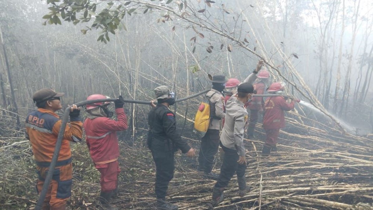 Upaya tim satgas darat dan udara mengendalikan karhutla di Ogan Komering Ilir, Sumatera Selatan (Sumsel), pada Minggu (17/9/2023). (Istimewa)