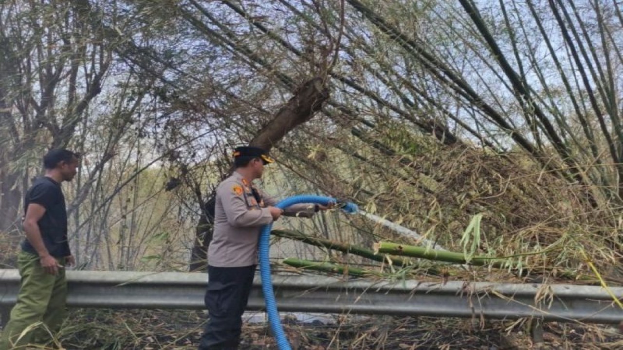 Kapolres Sumba Barat Daya Polda Nusa Tenggara Timur AKBP Sigit Harimbawan ikut melakukan pemadaman api dalam kebakaran hutan dan lahan di kawasan hutan lindung Watu Kanggorok, Desa Reda Pada, Kecamatan Wewewa Barat. (ANTARA/HO-Humas Polres Sumba Barat Daya)