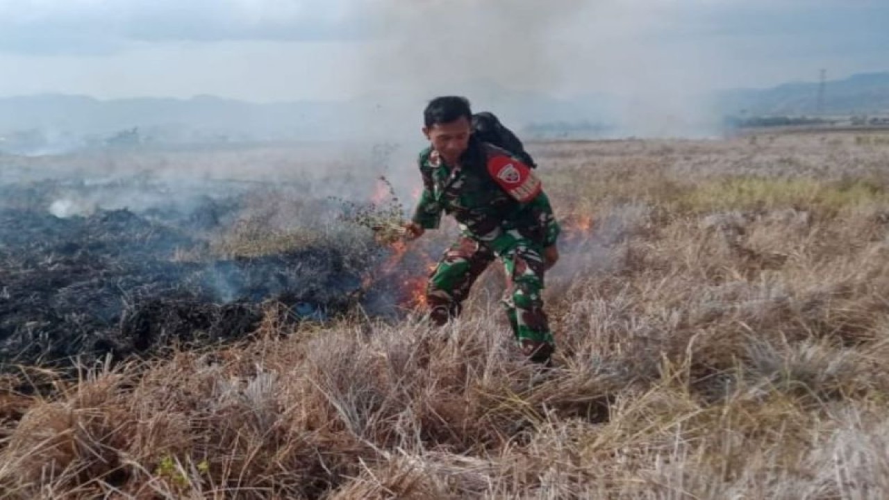 Seorang anggota TNI AD dari Koramil 1612-06-Lembor Kabupaten Manggarai Provinsi Nusa Tenggara Timur melakukan pemadaman api di kawasan persawan Lembor di Desa Siru. (ANTARA/HO-Humas Polres Manggarai Barat)