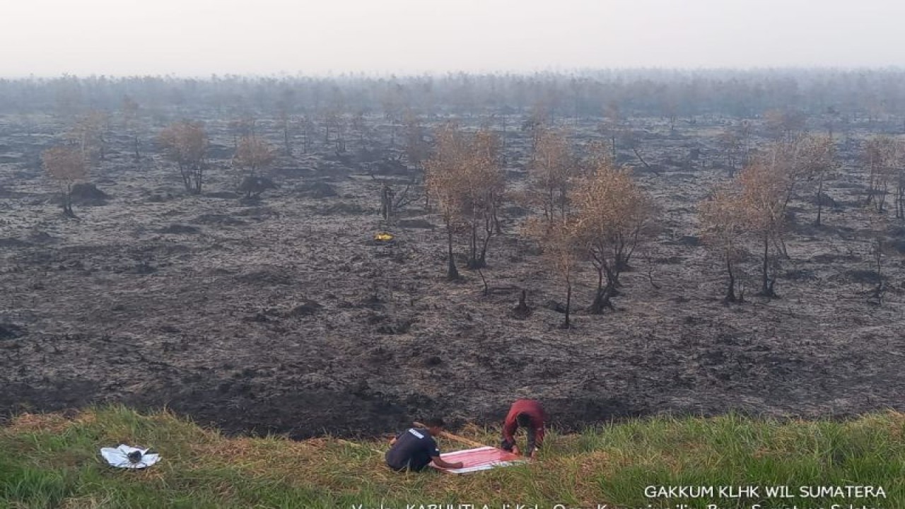 Petugas Penegakan Hukum KLHK mempersiapkan papan larangan kegiatan untuk menyegel lokasi kebakaran hutan dan lahan di Sumatera Selatan, Senin (18/9/2023). (ANTARA/HO-Kementerian LHK)