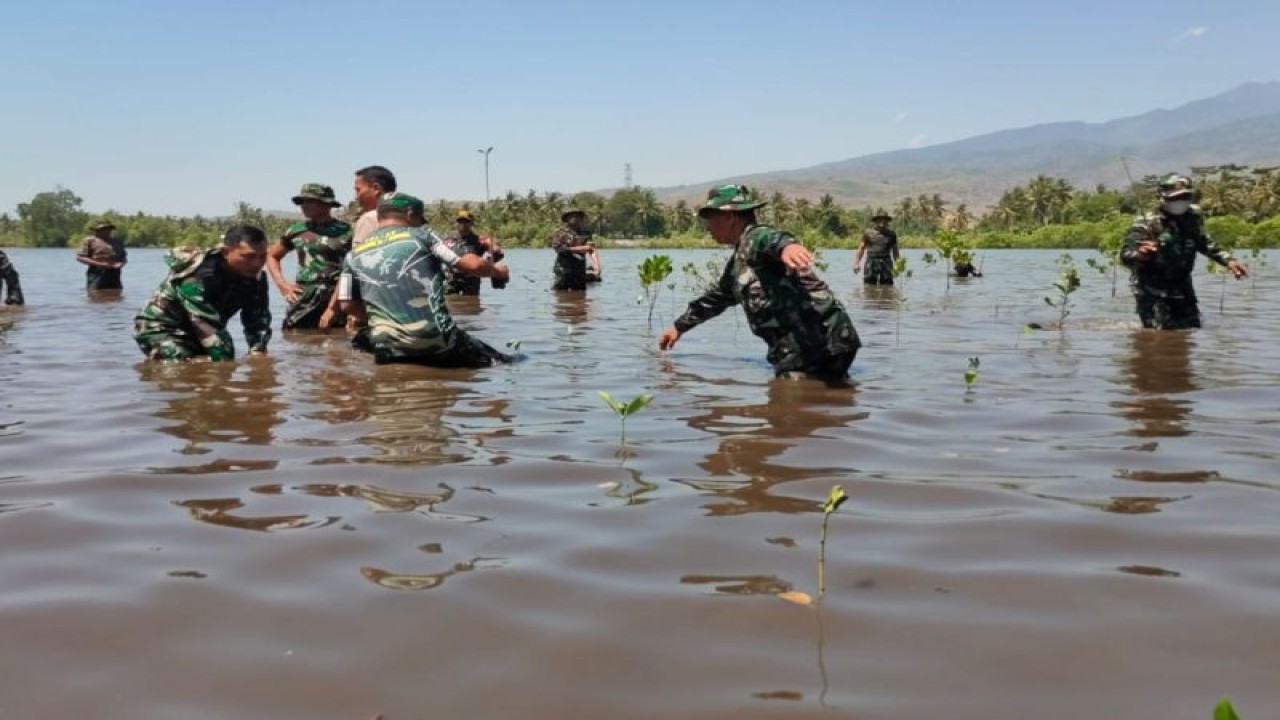 Jajaran TNI Kodim 1615 Lombok Timur saat melakukan penanaman pohon Mangrove di wilayah Pantai Makam Keramat Suci, Desa Sugian, Rabu (27/9/2023) (FOTO ANTARA/HO-Humas Kodim 1615 Lombok Timur)