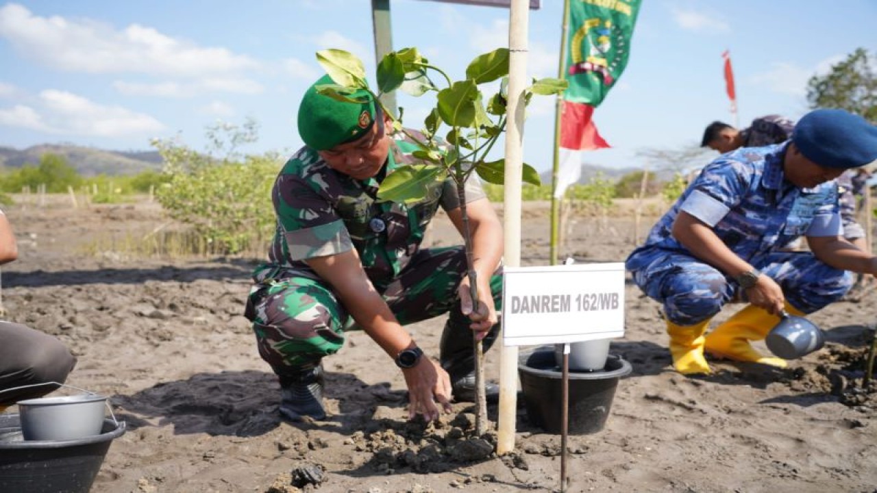Danrem 162 WB Nusa Tenggara Barat saat melakukan penanaman pohon Mangrove di wilayah pesisir Pantai Kabupaten Lombok Barat, Rabu (27/9/2023) (ANTARA/HO-Humas Korem 162 WB Nusa Tenggara Barat)