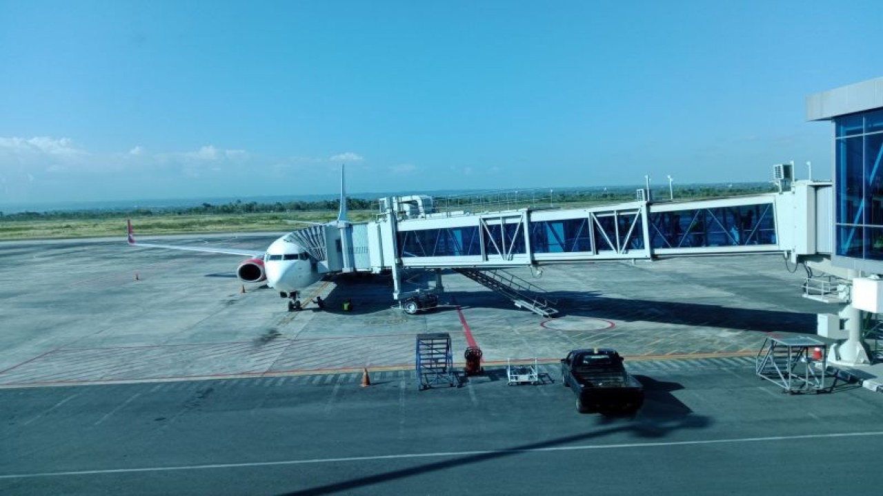 Pesawat di Bandara Internasional Lombok, Nusa Tenggara Barat (NTB) ANTARA/Akhyar Rosidi