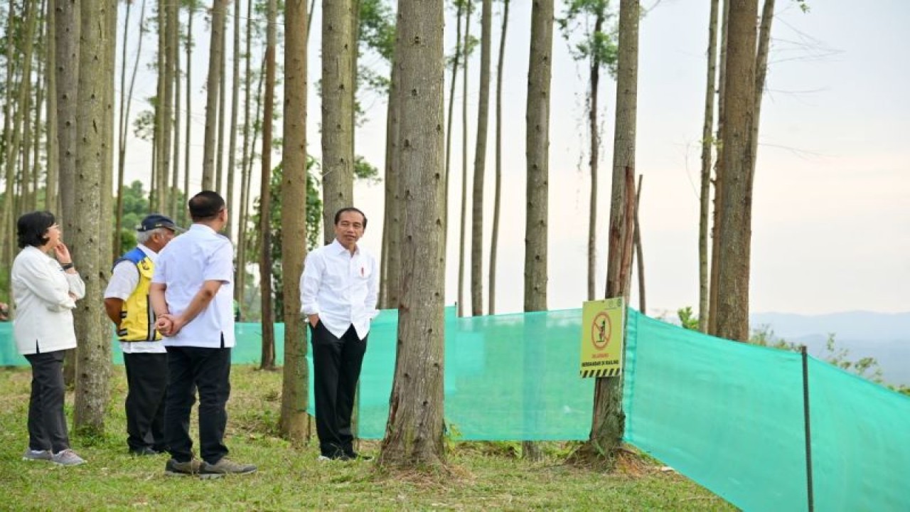 Presiden Joko Widodo (Jokowi) dan sejumlah menteri Kabinet Indonesia Maju meninjau proses pembangunan Ibu Kota Nusantara (IKN) di Kalimantan Timur pada Jumat (21/9/2023). (ANTARA/HO-Biro Pers, Media, dan Informasi Sekretariat Presiden RI/pri.)