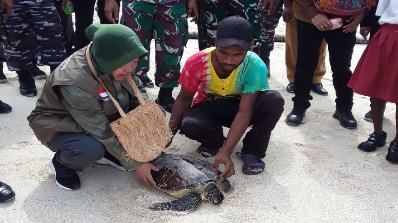 Menteri Sosial RI Tri Rismaharini melakukan Ekspedisi Kebangsaan di Mapia melepas penyu di perairan Kepulauan Mapia beranda terdepan kedaulatan NKRI di Samudera Pasifik.ANTARA/Muhsidin