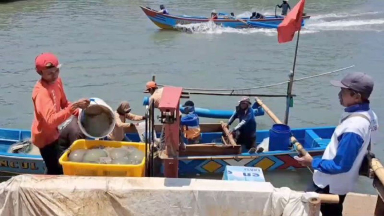 Nelayan menurunkan ubur-ubur dari perahu untuk dijual kepada pengepul di Kompleks Pelabuhan Perikanan Samudra (PPS) Cilacap, Jawa Tengah, Kamis (21/9/2023). ANTARA/Sumarwoto