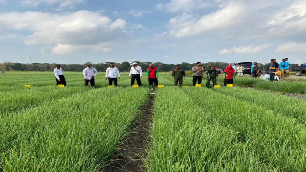 Petani dan jajaran Dinas Pertanian dan Pangan Kulon Progo melaksanakan gerakan pengendalian OPT. ANTARA/HO-Dinas Pertanian dan Pangan Kulon Progo