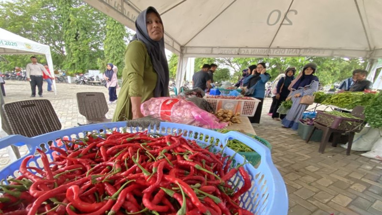 Sejumlah warga berblanja berbagai kebutuhan pangan dan produk komoditas lainnya saat berlangsungnya Pasar Tani di Banda Aceh, Aceh, Rabu (27/9/2023). (ANTARA/Khalis Surry)