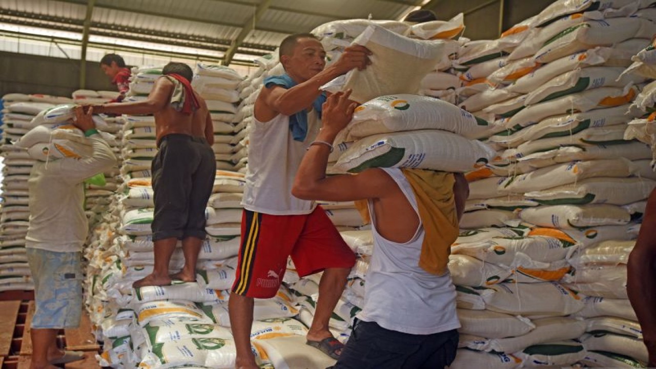 Sejumlah pekerja mengangkut beras bantuan pemerintah untuk didistribusikan di Gudang Bulog Banten, di Serang, Senin (18/9/2023). ANTARA FOTO/Asep Fathulrahman/aww.