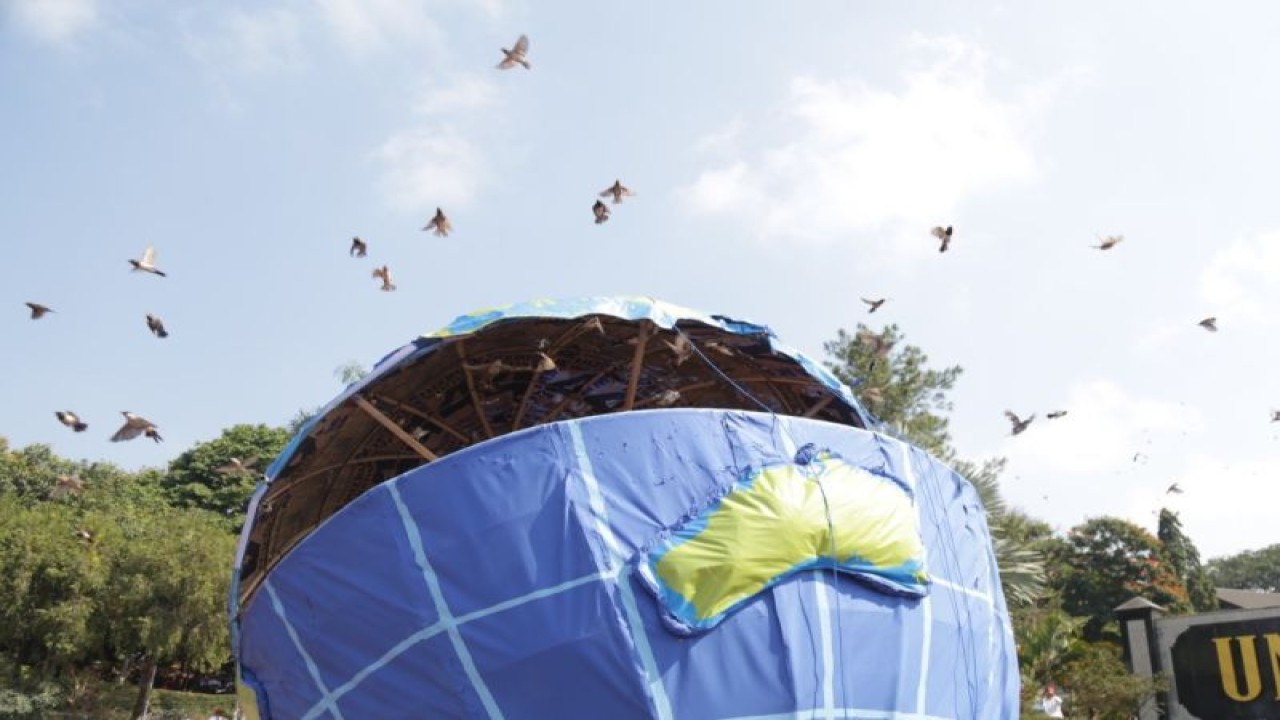 Ribuan burung endemik Jawa yang dilepaskan dari sangkar raksasa berbentuk globe oleh Kapolda Jatim Irjen Pol. Dr Toni Hermanto didampingi Rektor UMM, Prof. Dr Fauzan pada pembukaan Pesmaba UMM, Selasa (12/9) (ANTARA/HO/UMM/End)