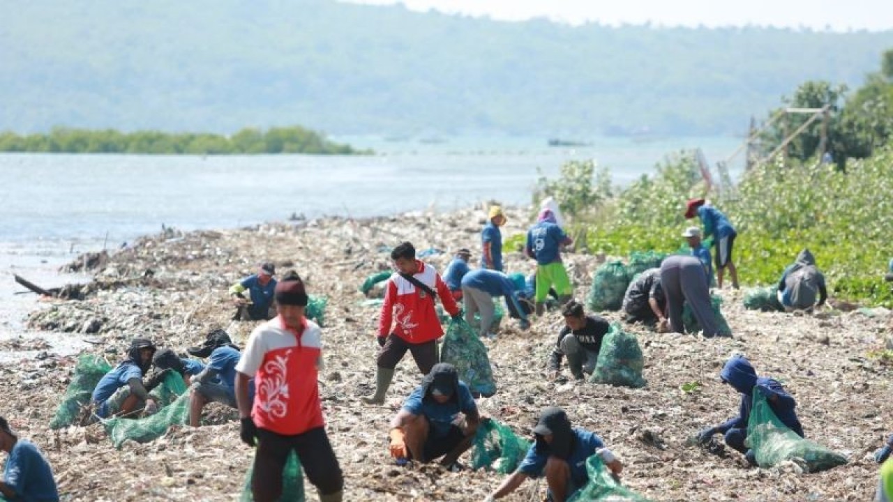 Peserta aksi bersih-bersih sampah di Pantai Tratas Muncar, Banyuwangi, Jawa Timur. Kamis (7/9/2023) ANTARA/HO-Humas Pemkab Banyuwangi