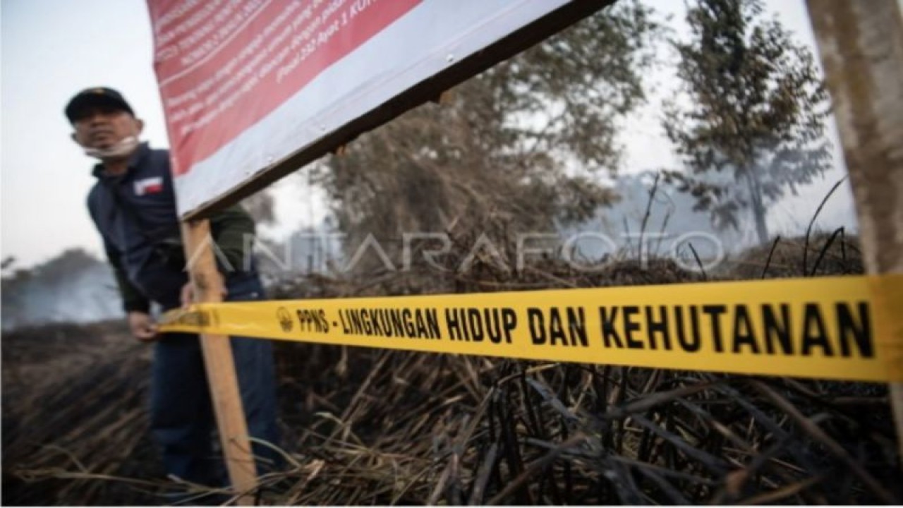 Penyegelan karhutla di OKI, Sumatera Selatan. Antara Nova Wahyudi.
