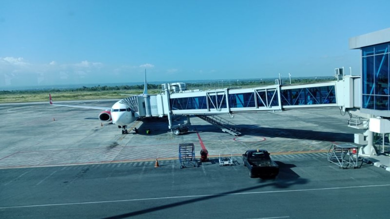 Pesawat di Bandara Internasional Lombok, Nusa Tenggara Barat (ANTARA/Akhyar Rosidi)