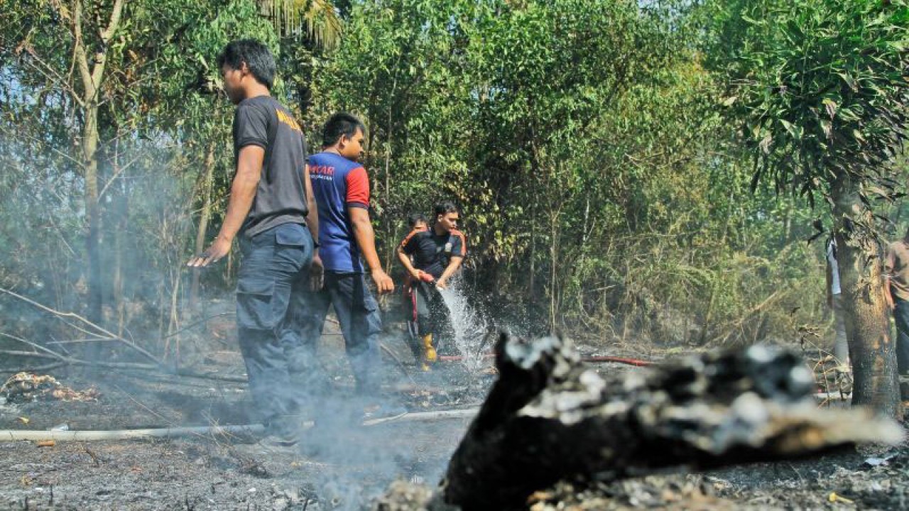 Petugas bersama warga memadamkan api yang membakar lahan semak belukar di samping gedung Perpusda Bangka Barat, pada Rabu (30/8/2023). (ANTARA/HO-Diskominfo Bangka Barat)