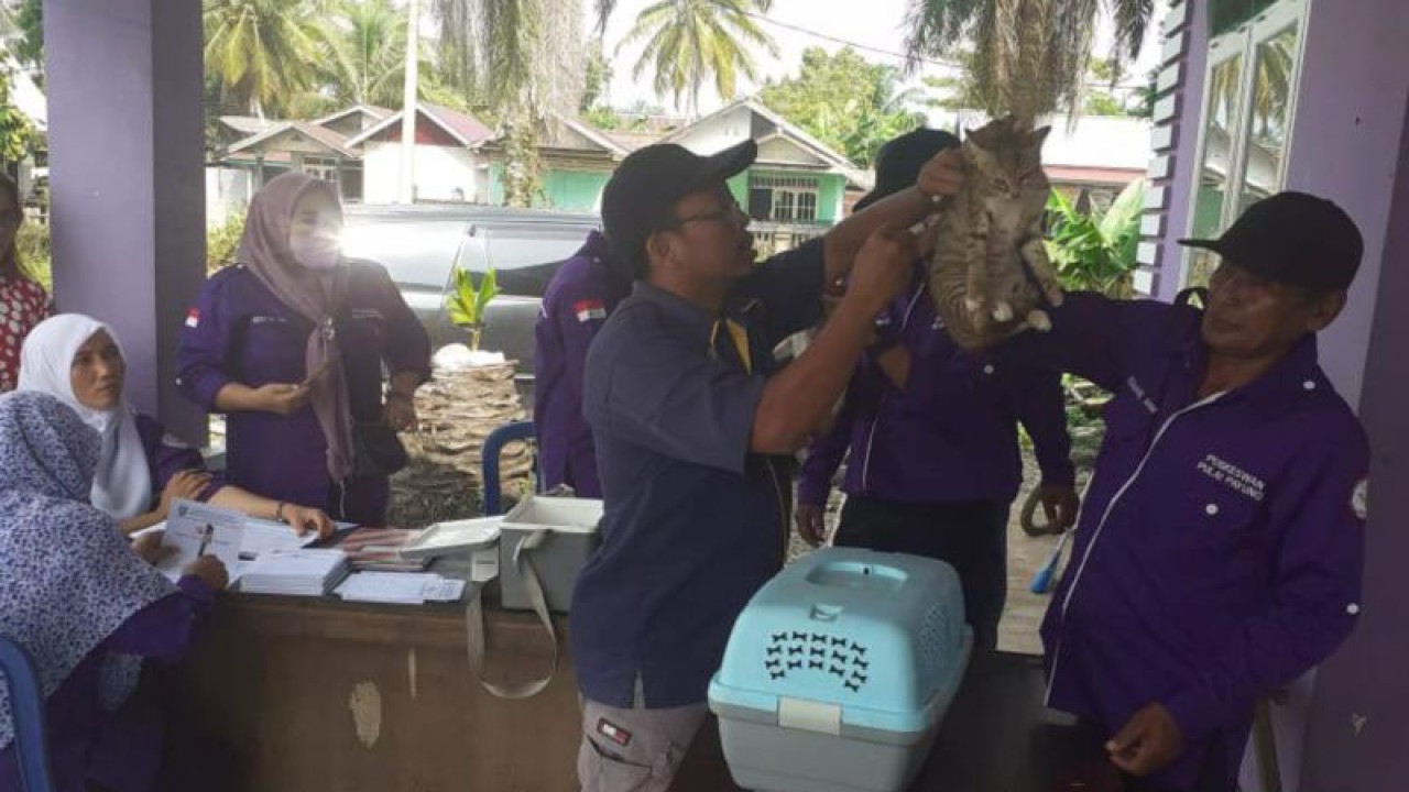 Petugas Peternakan dan Kesehatan Hewan Dinas Pertanian Kabupaten Mukomuko memberikan vaksin rabies pada kucing, Kamis (15/9/2023) FOTO ANTARA/Ferri.