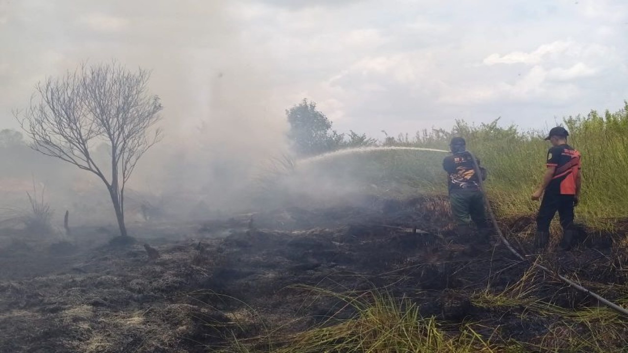 Petugas melakukan pemadaman kebakaran lahan di Palangka Raya, beberapa waktu lalu. (ANTARA/HO-BPBD Palangka Raya)