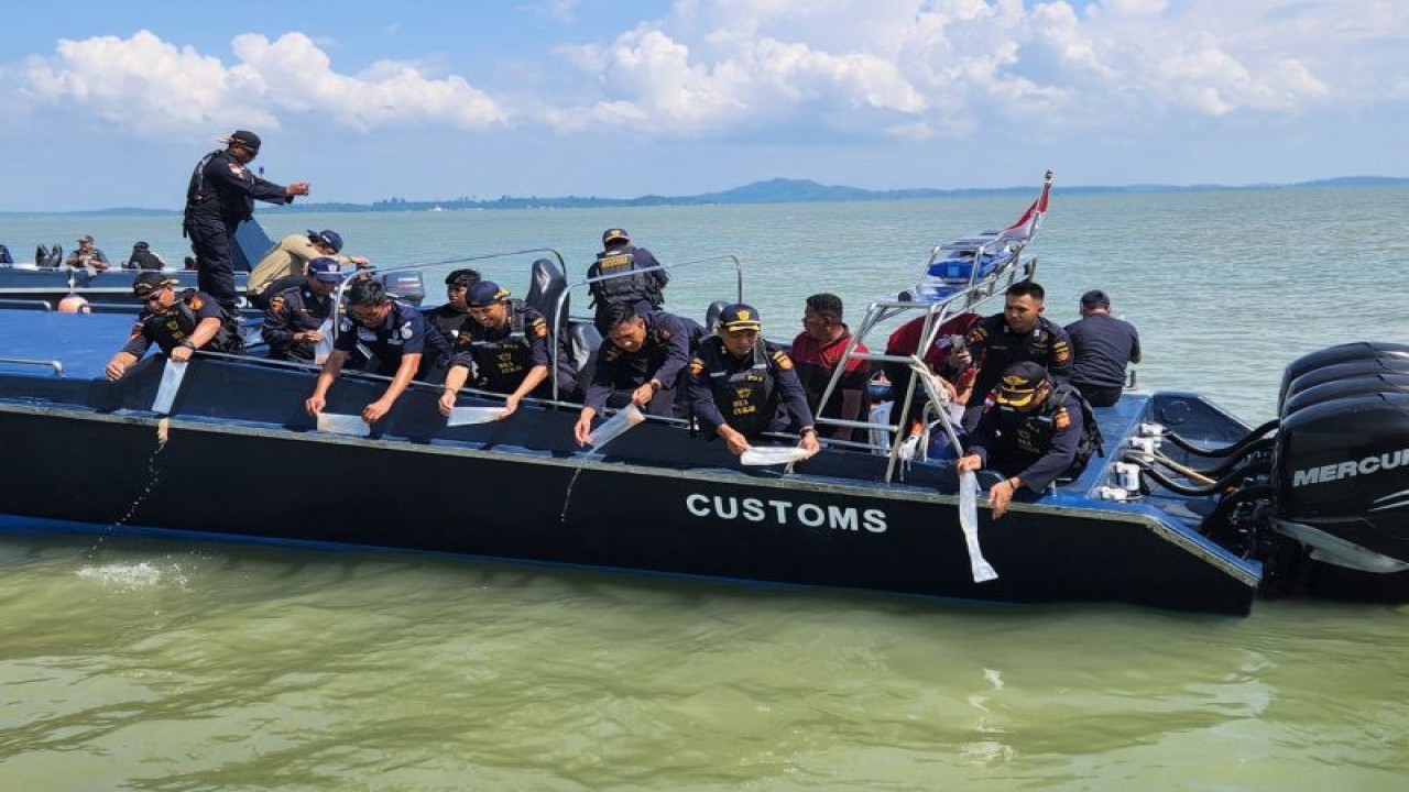 Petugas Bea Cukai Kepri melepasliarkan benur lobster ke laut (ANTARA/HO-Humas Bea Cukai)