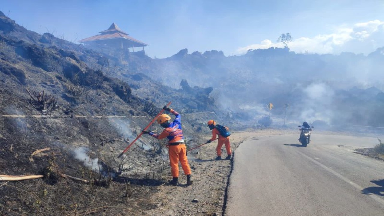 Petugas BPBD Bondowoso, Jatim, memadamkan ilalang dan semak belukar yang terbakar di lereng Gunung Ijen. Rabu (13/9/2023). ANTARA/HO-BPBD Bondowoso