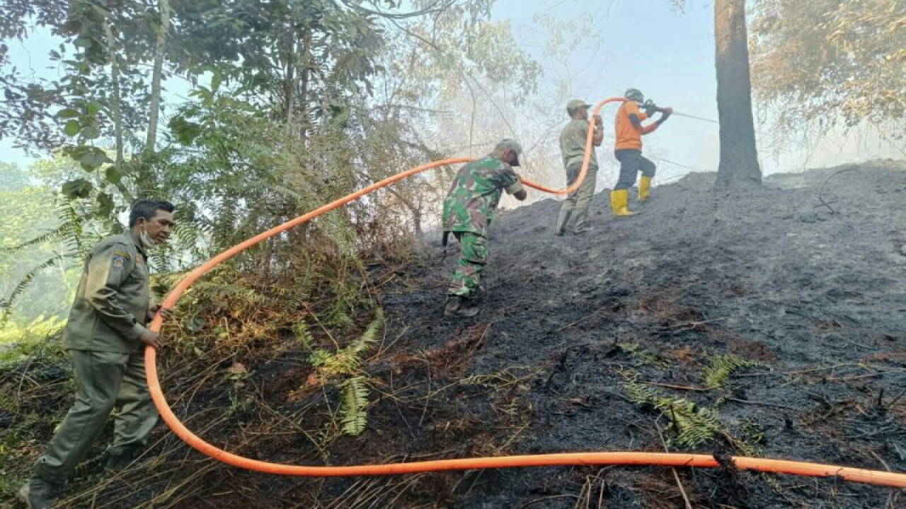 Petugas sedang memadamkan karhutla di Kabupaten Penajam Paser Utara (Antara / HO Pusdalops Kabupaten PPU)