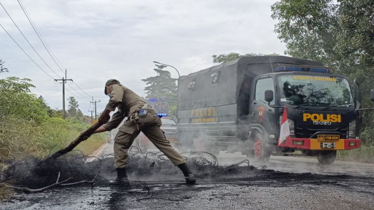 Petugas membersihkan sisa pohon dan ban yang dibakar warga di tengah jalan saat melakukan pengamanan pengukuran lahan untuk pengembangan proyek Rempang Eco City, Kamis (7/9). (ANTARA/Yude)