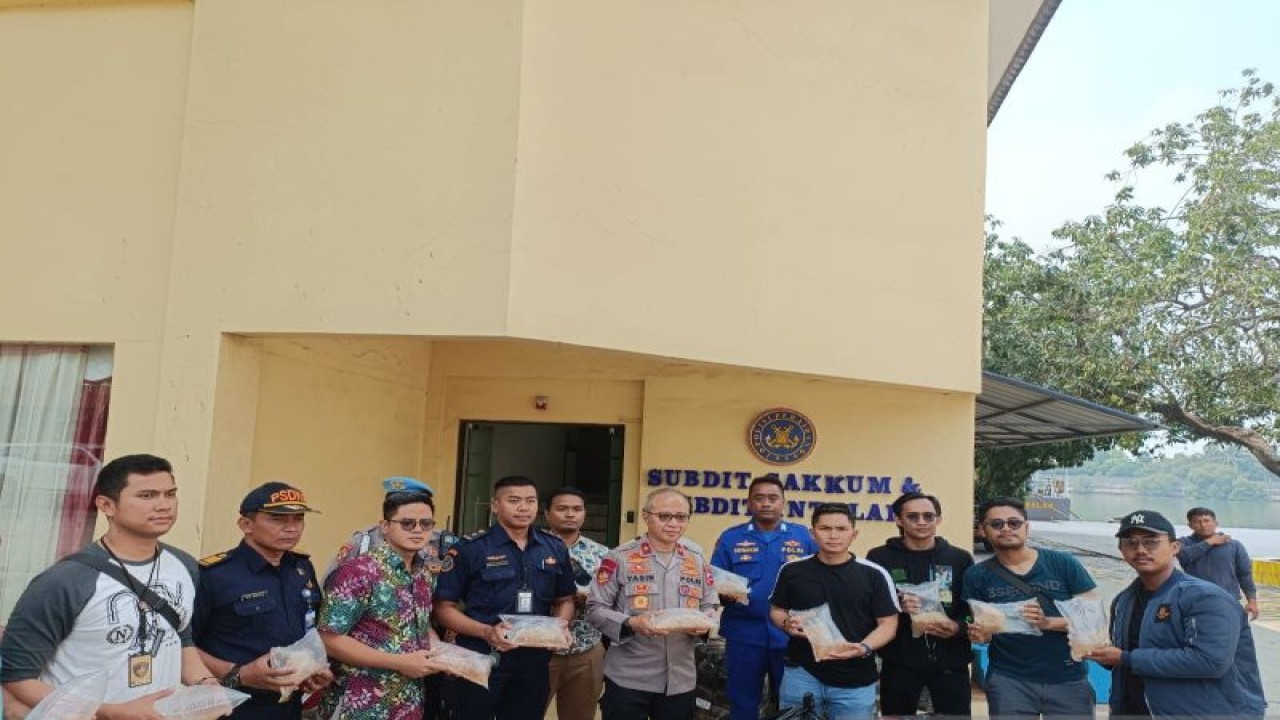 Polri berhasil gagalkan penyelundupan benih lobster sebanyak 350 ribu ekor di wilayah Curug, Tanggerang pada 01 September 2023. Antara/HO-humas Polri