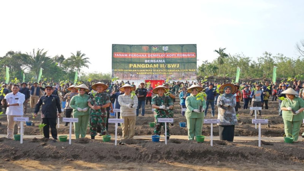Gubernur Bengkulu Rohidin Mersyah bersama Pangdam II Sriwijaya Yanuar Adil dan Bupati Kepahiang, melakukan demplot budi daya kopi Robusta melalui teknik replanting di kebun Kelompok Tani Lupak Maning Kelurahan Ujan Mas Atas Kabupaten Kepahiang. ANTARA/HO-Media Center Provinsi Bengkulu