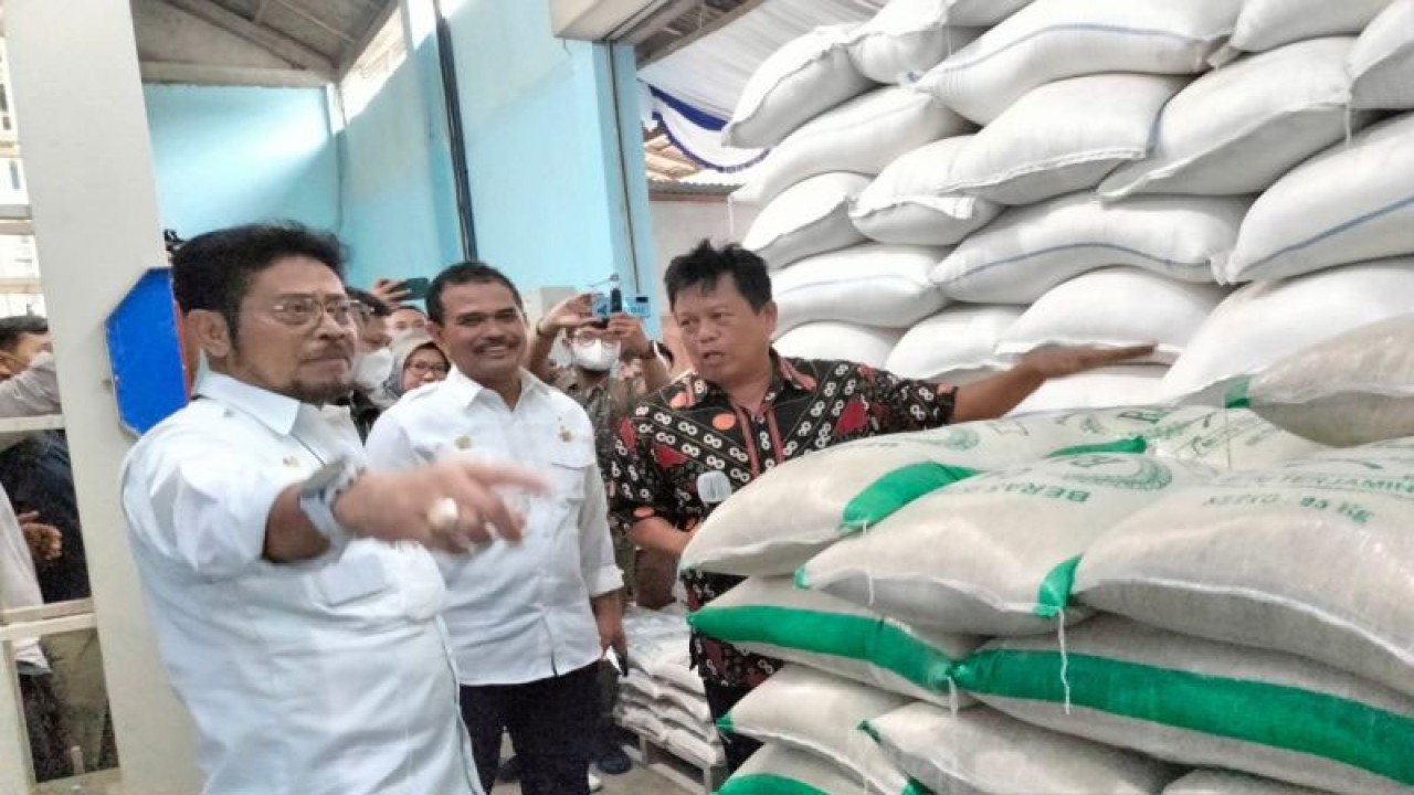 Stok beras di tingkat gabungan kelompok tani di Kulon Progo. (ANTARA/Sutarmi)