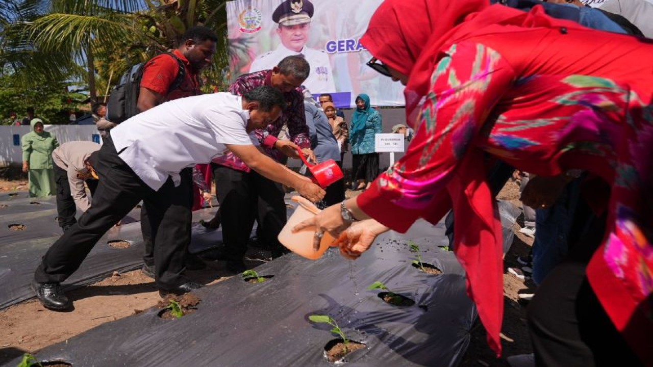 Pj Gubernur Sulsel Bahtiar Baharuddin didampingi Pj Ketua PKK Sulsel ikut gerakan menanam cabai di Kabupaten Wajo, Sulawesi Selatan. ANTARA/HO-Humas Pemprov Sulsel