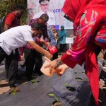 Sulsel-1695608387