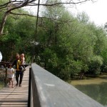 taman-1695614511