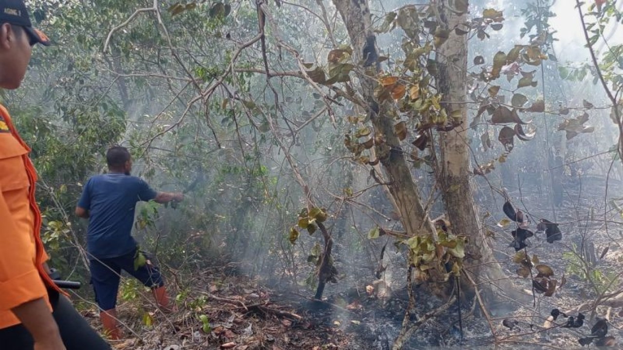 Tim gabungan tengah melakukan pemadaman api di kawasan bukit Sakbuk Bangka (ANTARA/Kasmono/Ho.BPBD Bangka)