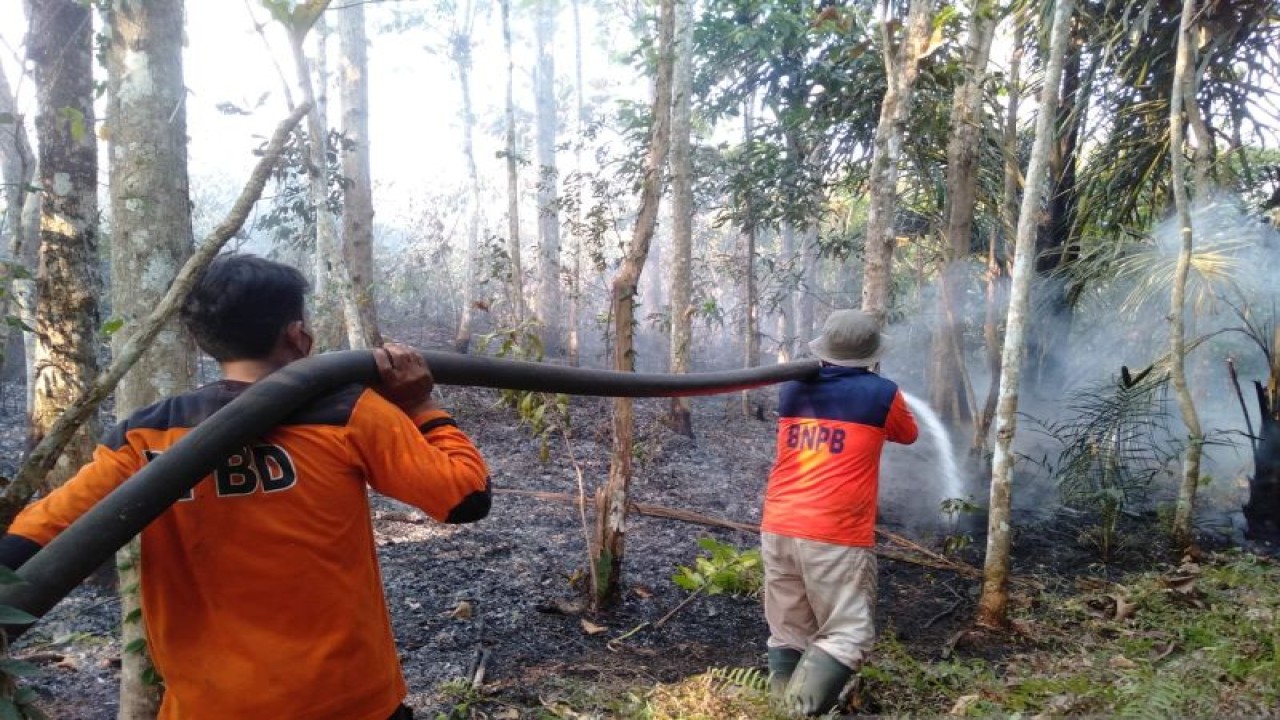 Tim Satgas Karhutla BPBD memadamkan api kebakaran perkebunan di Kabupaten OKU, Sumsel, Selasa (26/9/2023). (FOTO ANTARA/Edo Purmana)