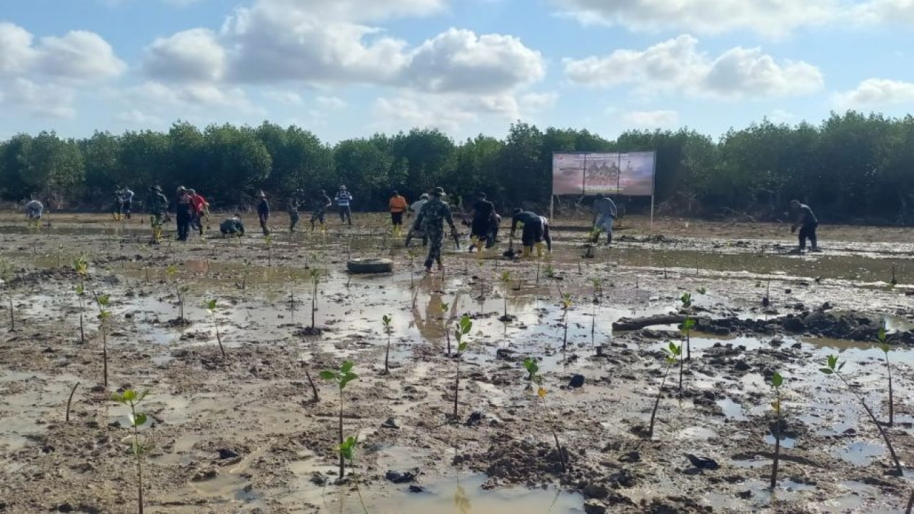 Jajaran TNI Kodim 1620 Lombok Tengah saat melakukan penanaman Mangrove di wilayah Desa Kuta, Kecamatan Pujut, Rabu (26/9/2023) (ANTARA/Akhyar Rosidi)