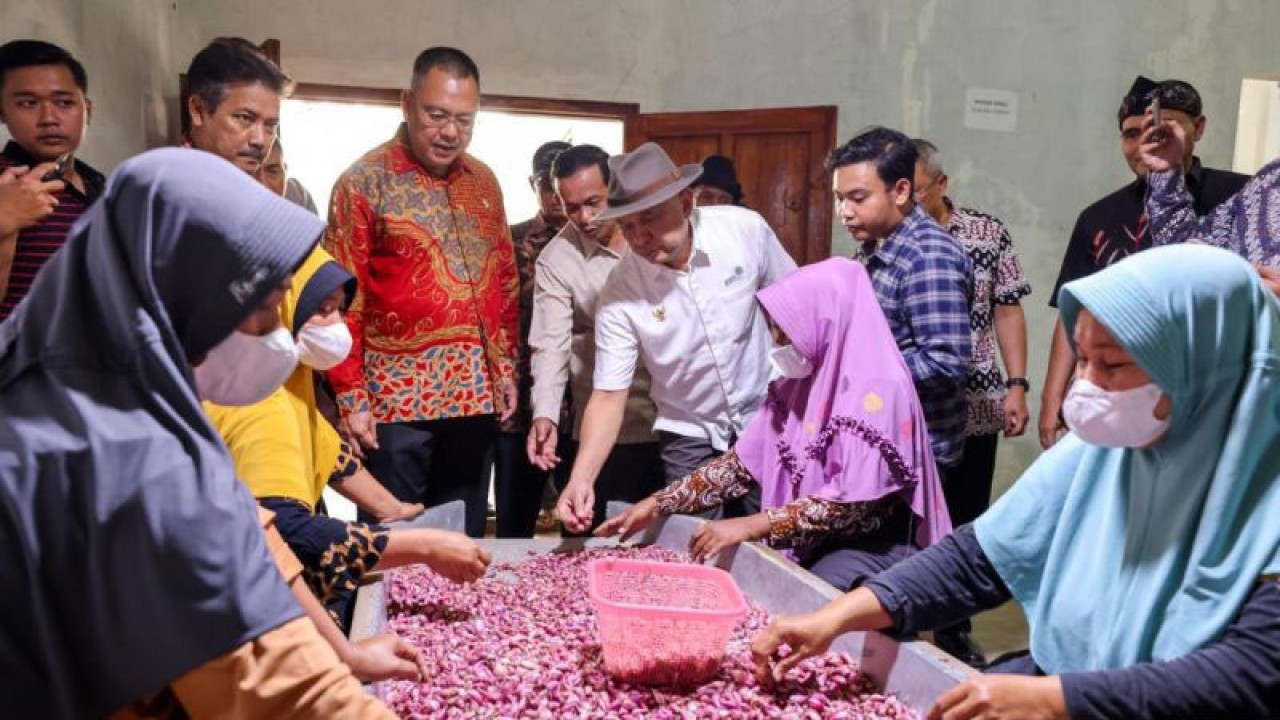 Menteri Koperasi dan UKM (MenKopUKM) Teten Masduki saat meninjau olahan bawang merah oleh Koperasi Pemasaran Unit Desa (KPUD) Wanasari dan PT Sinergi Brebes Inovatif di Brebes, Jawa Tengah, Minggu (17/9/2023). ANTARA/HO-KemenKopUKM.