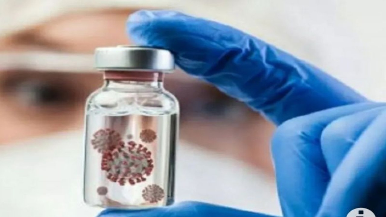 Virus Nipah, ancaman baru setelah pandemi COVID-19 (ANTARA/Dokumentasi Pribadi)