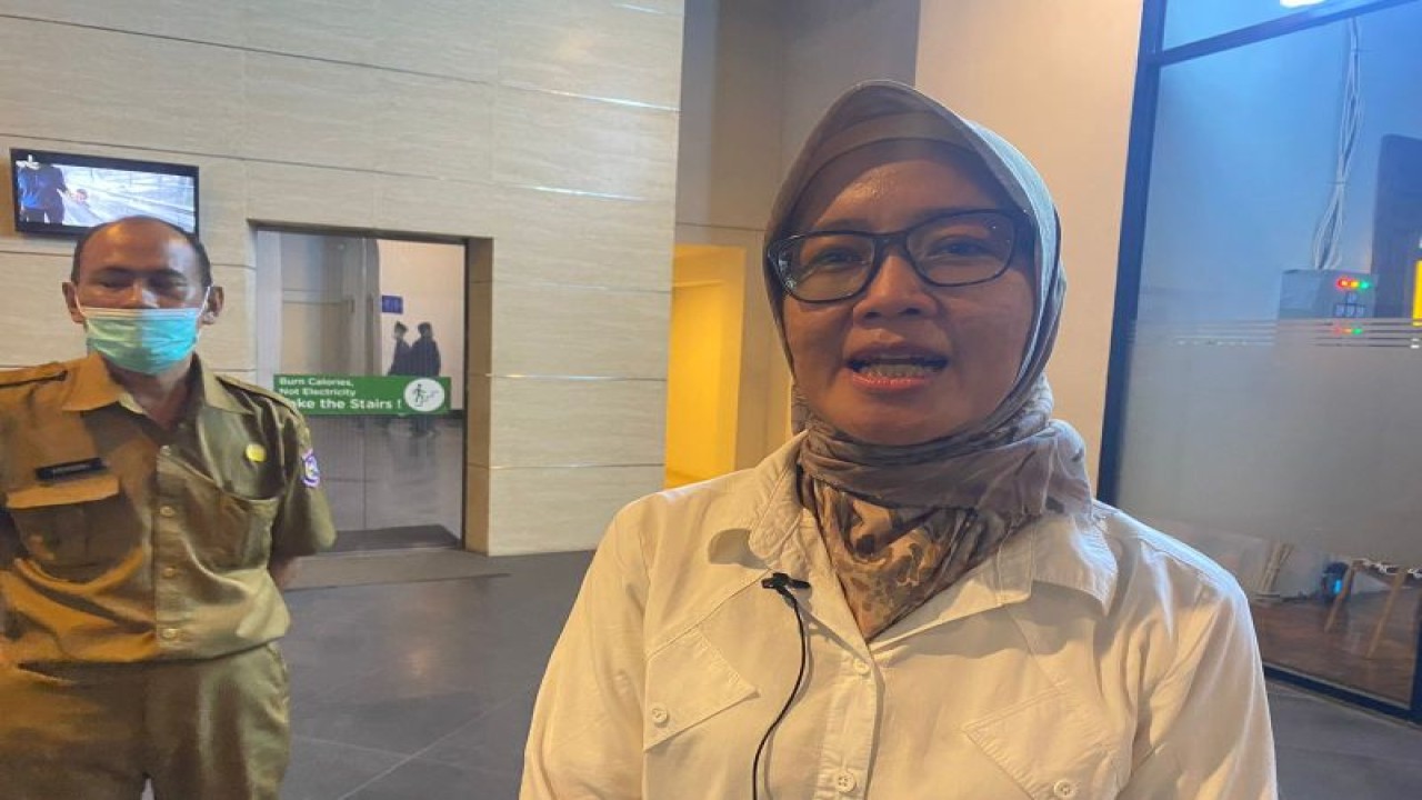 Kadinkes Kota Tangerang Selatan Allin Hendalin Mahdaniar. (Azmi)