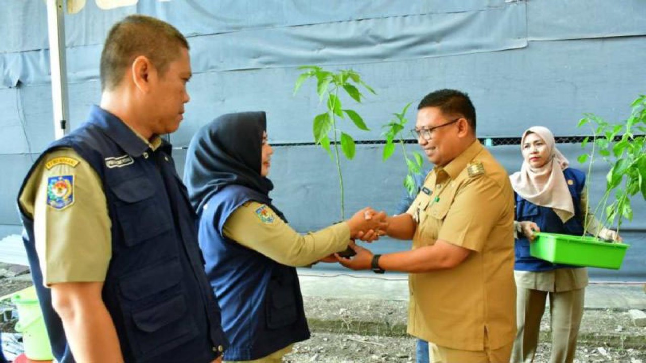 Penjabat Wali Kota Palopo Asrul Sani saat menyerahkan secara simbolis bibit pohon cabai kepada para perwakilan ASN untuk menekan inflasi di daerah tersebut, Senin (9/10/2023). ANTARA/HO/Pemkot Palopo